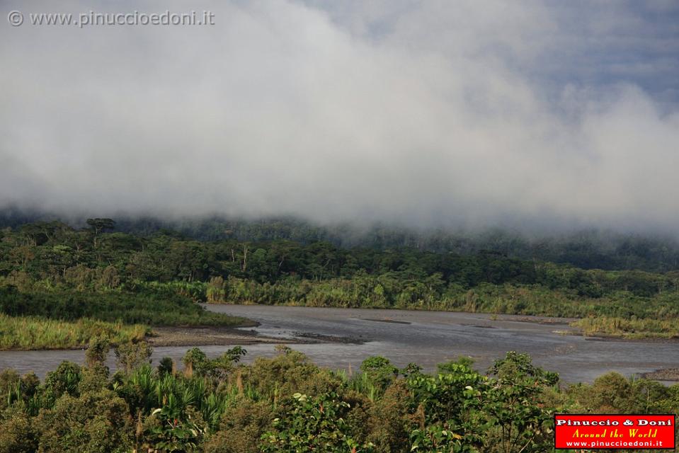 ECUADOR - Foresta Amazzonica - 03.jpg